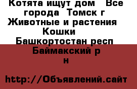 Котята ищут дом - Все города, Томск г. Животные и растения » Кошки   . Башкортостан респ.,Баймакский р-н